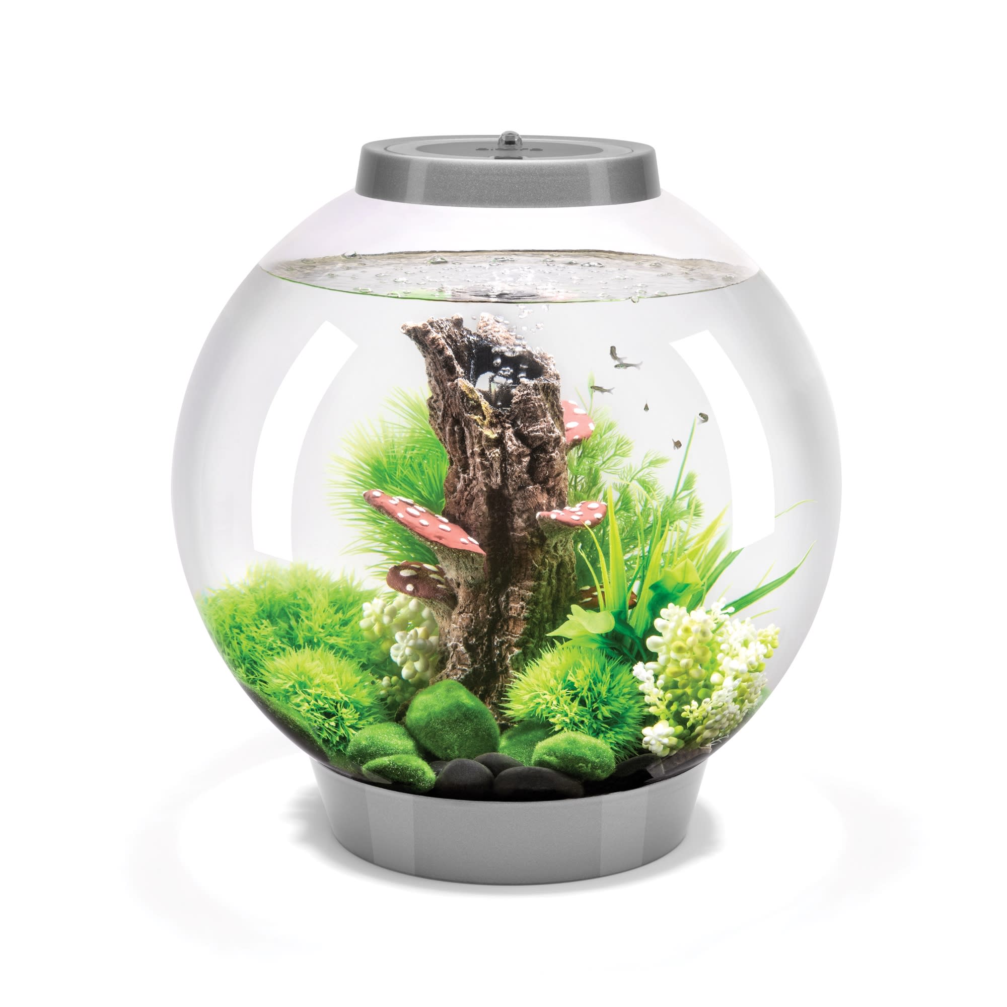 Biorb Classic Silver Aquarium With Mcr Light Gallon Petco