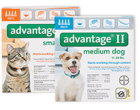 petco advantage large cat