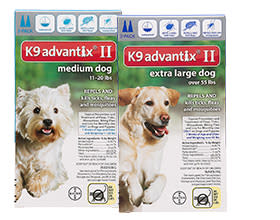 petco advantage ii large dog