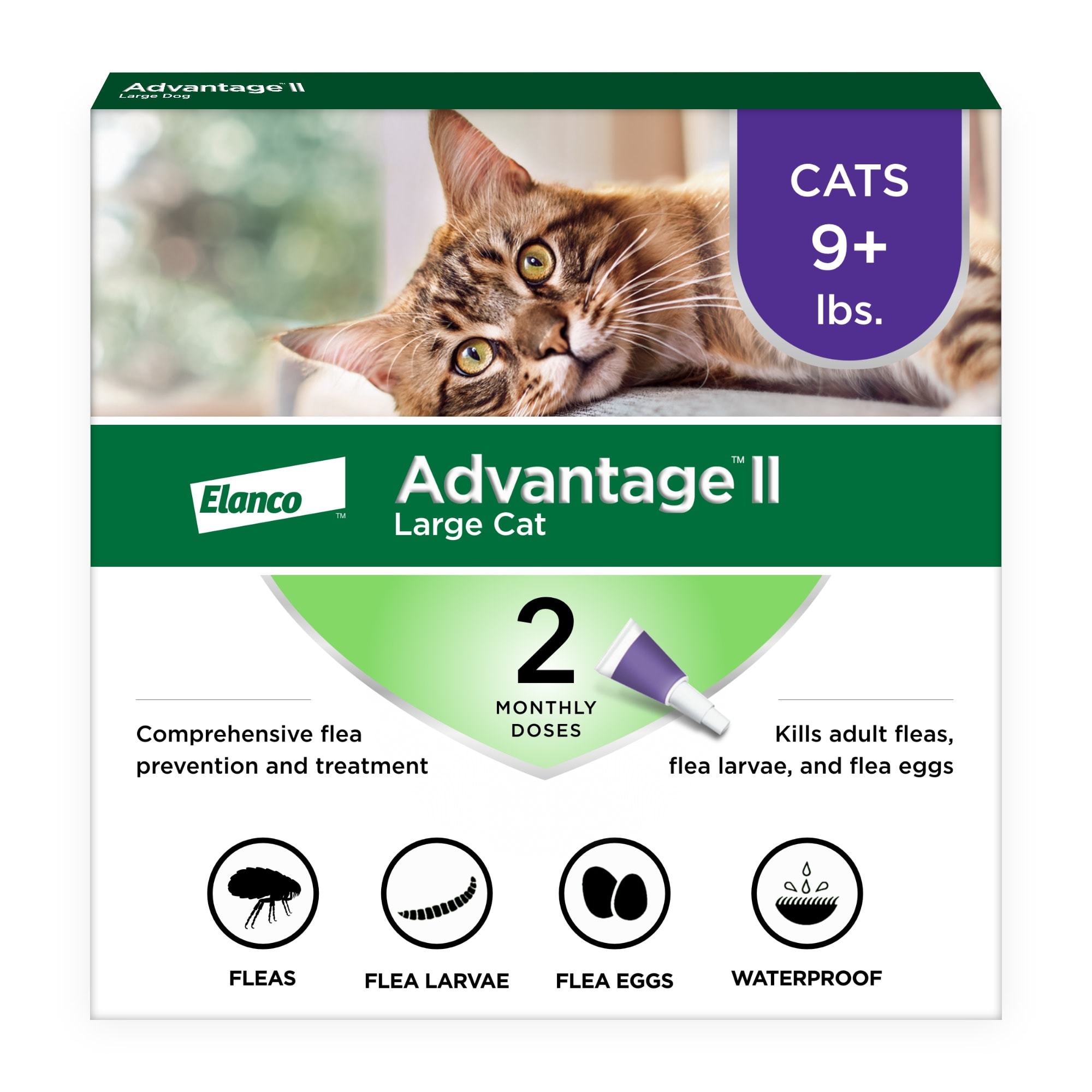 advantage feline flea treatment