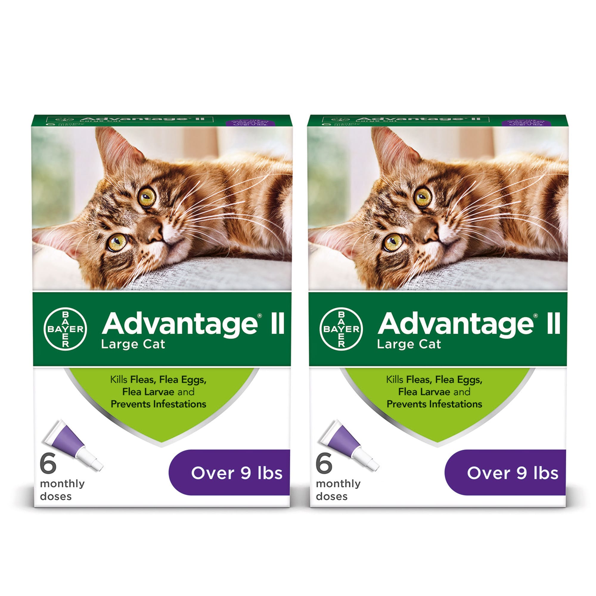 petco advantage ii small cat