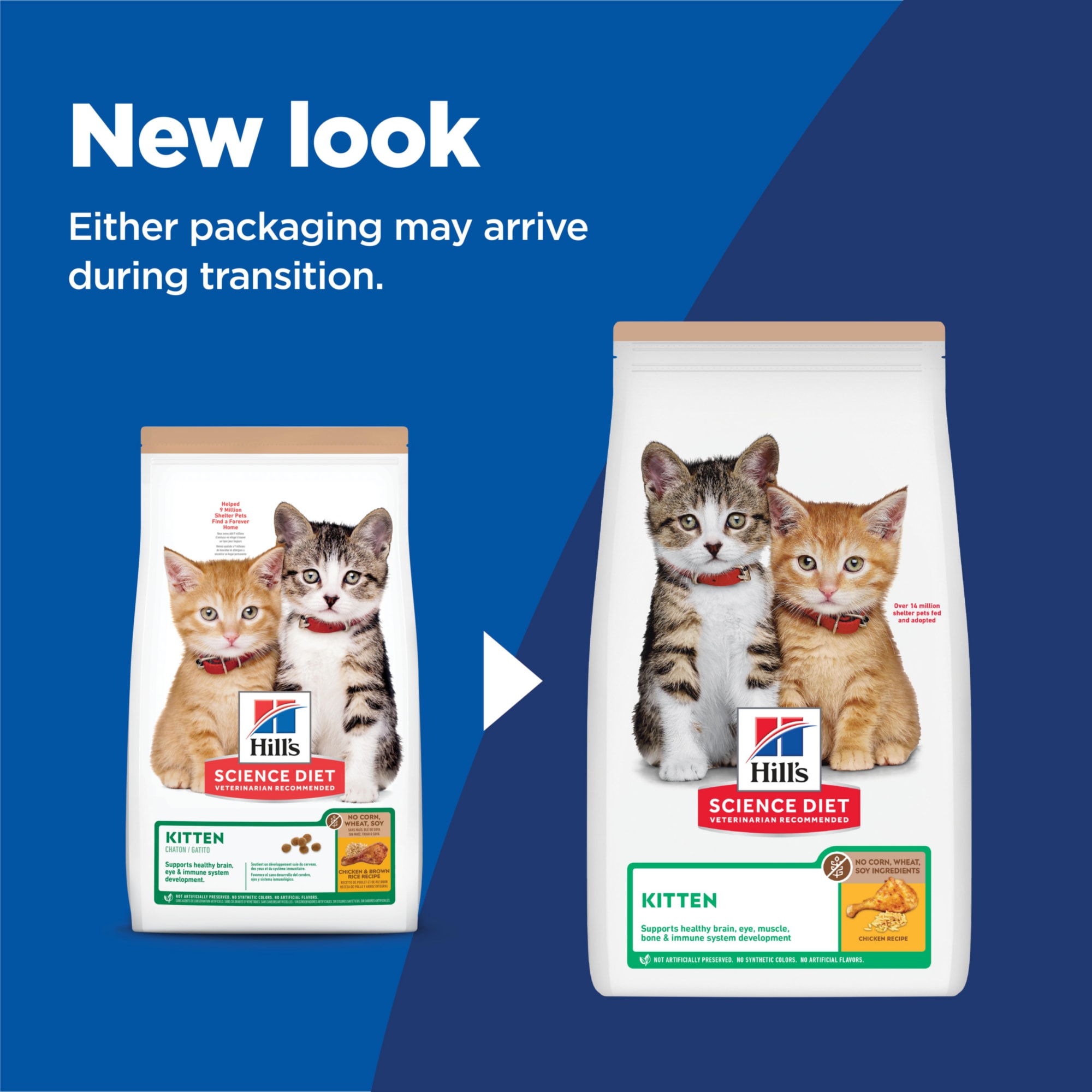 petco science diet kitten