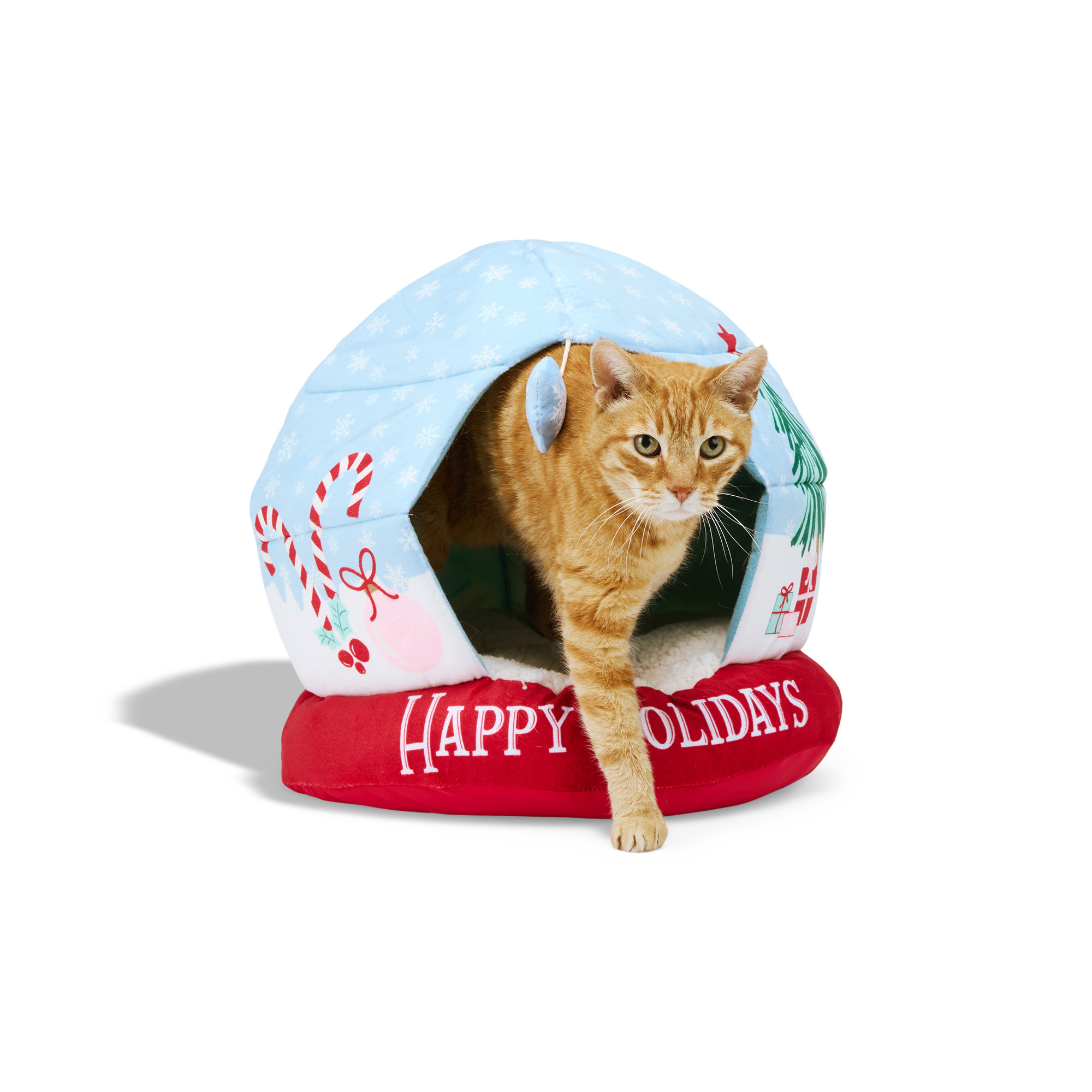 Petco Holiday Gifts: Treat Your Pet to Creative & Affordable Fun