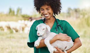 Farm Animal Vet Q&A