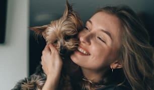 Pet Education