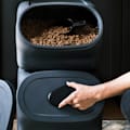 Dog Food Storage Tips: How to Store Wet & Dry Food 