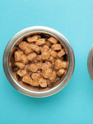 Is Dry or Wet Dog Food Better for My Dog?