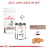 royal canin hepatic petco