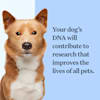petco dna test