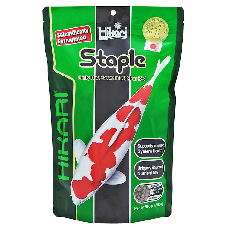 do schnauzers get along with cats