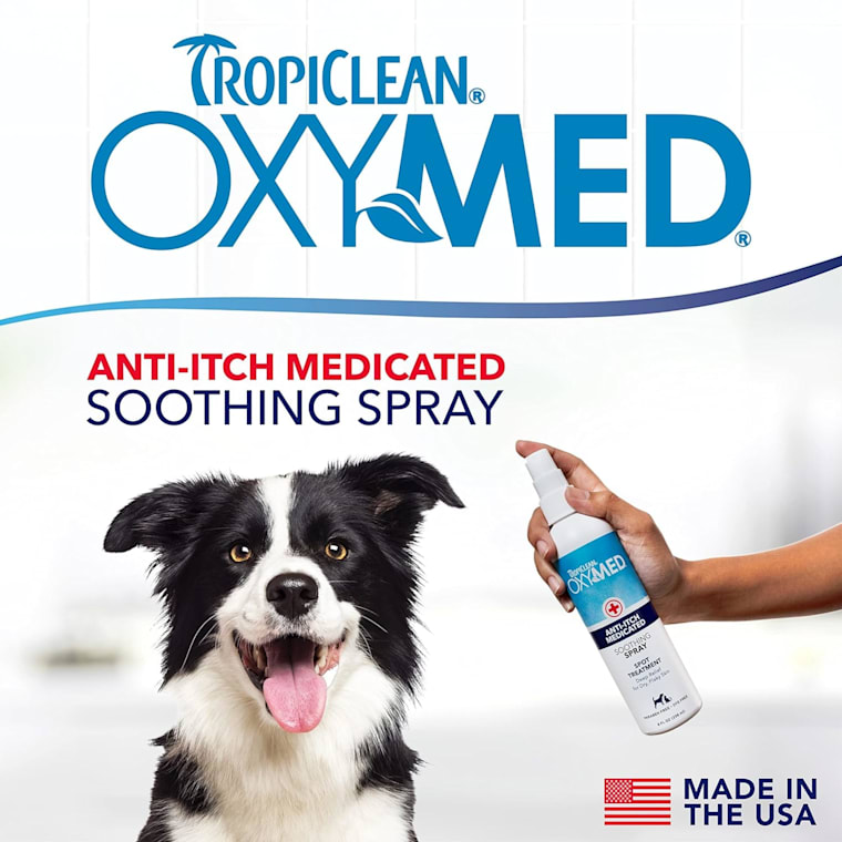 petco antiseptic spray