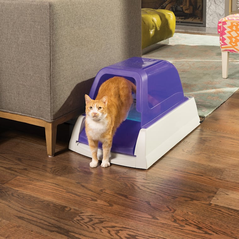 Scoopfree litter box petco top