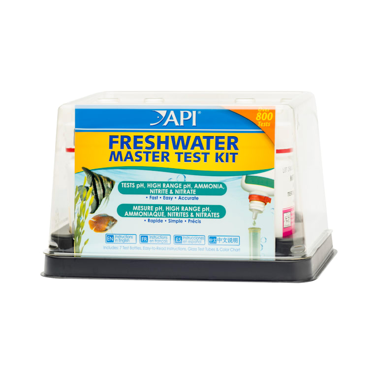 midnight molly cat scratcher