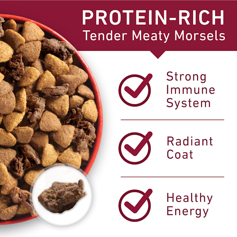 purina one beef and rice reviews