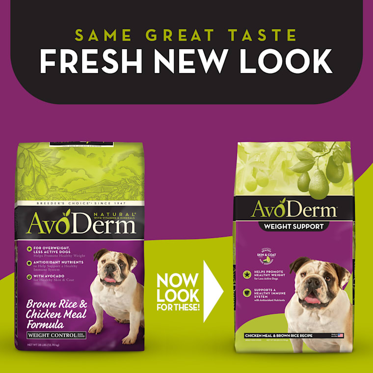 avoderm large breed dog food