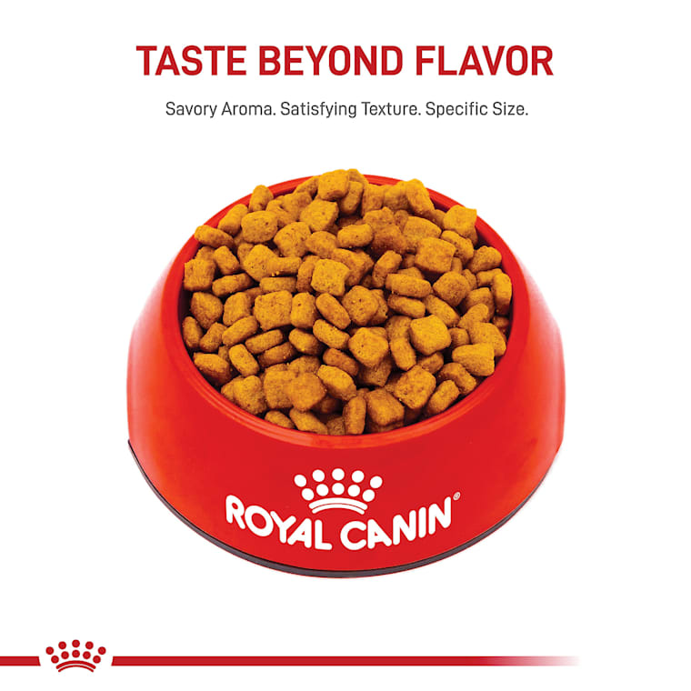 royal canin dog food dachshund 7.5 kg