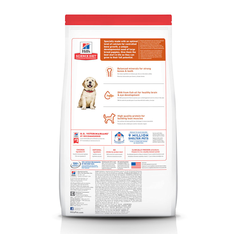 science diet large breed puppy feeding chart