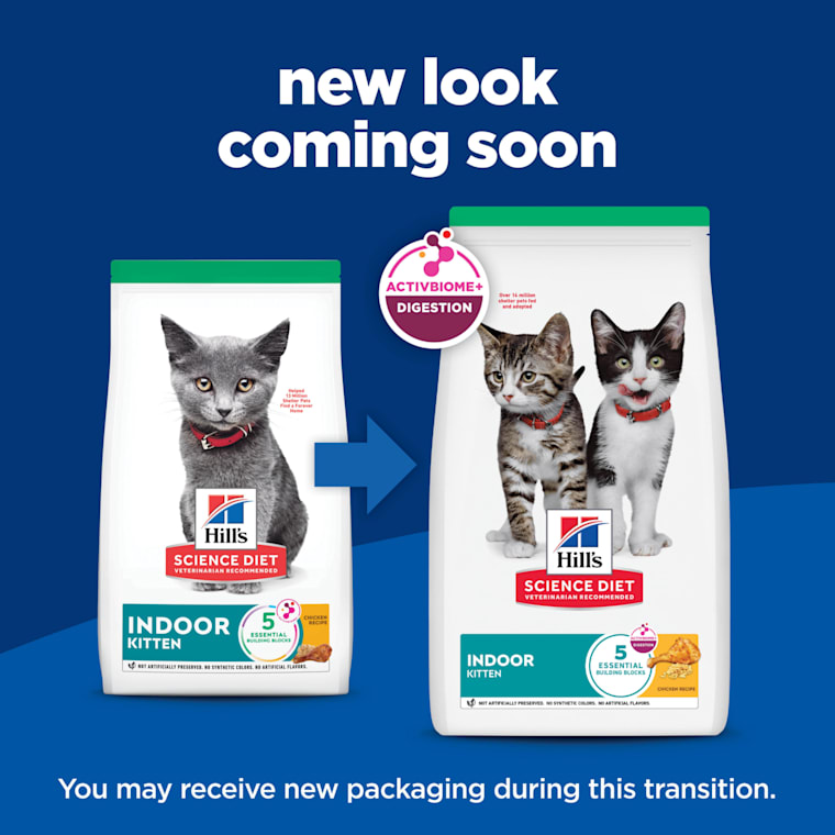 hills kitten dry food