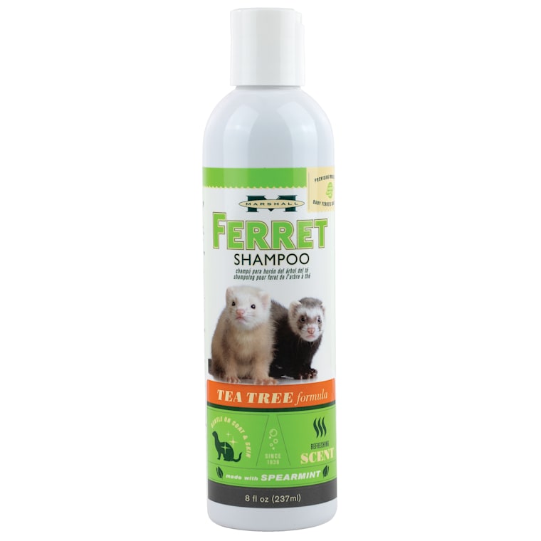 baby shampoo for ferrets