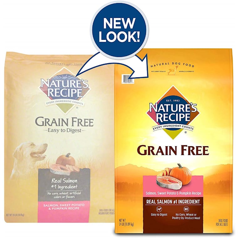 pumpkin salmon dog food