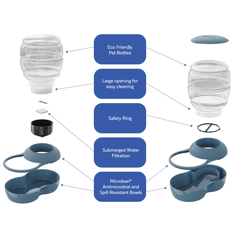 petco automatic feeder