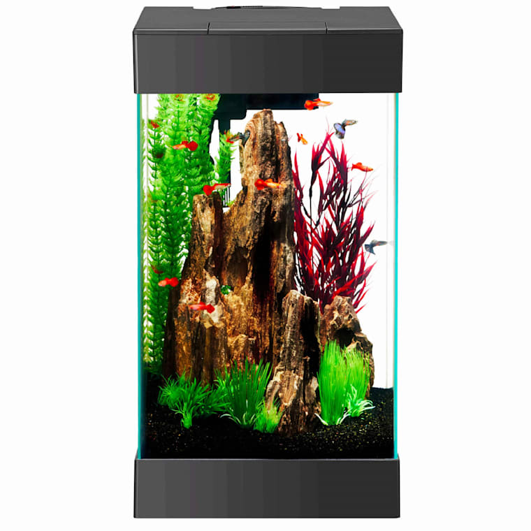 15 gallon fish tank petco