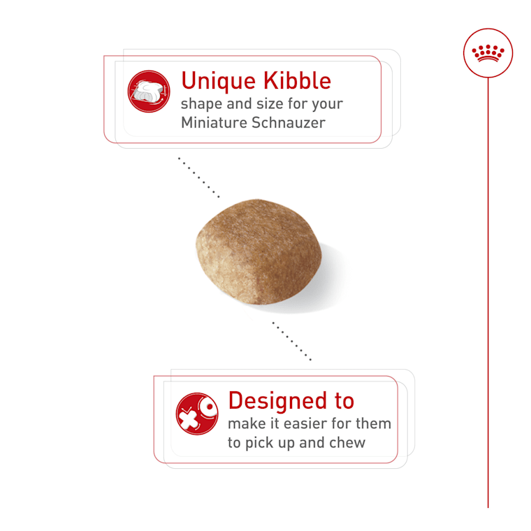 best dry food for miniature schnauzer