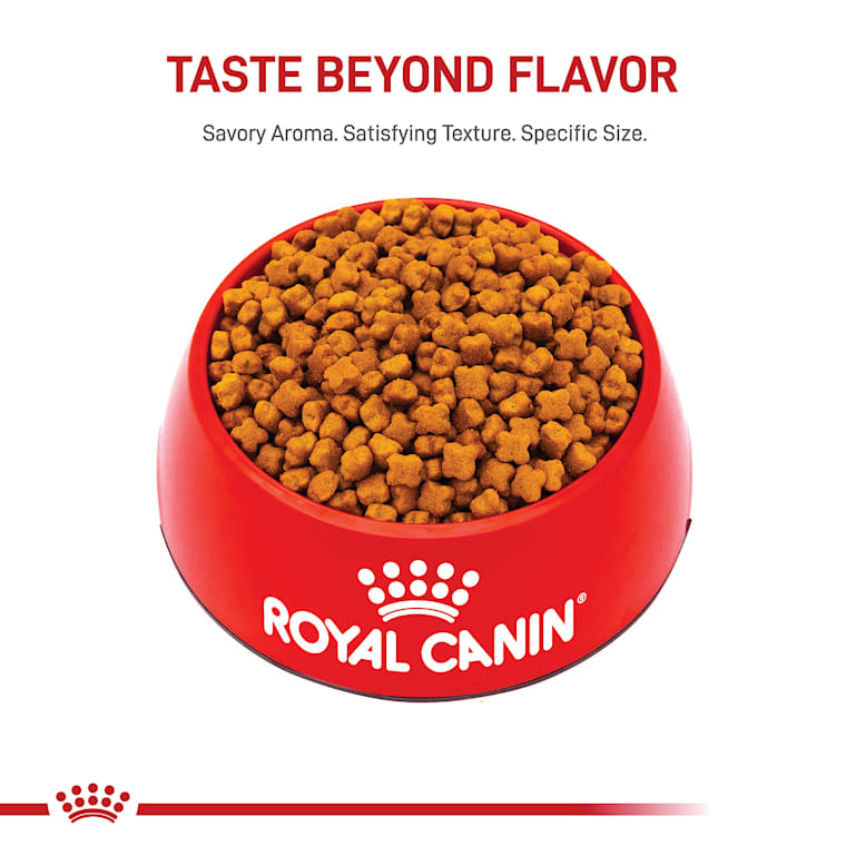 royal canin dog food german shepherd