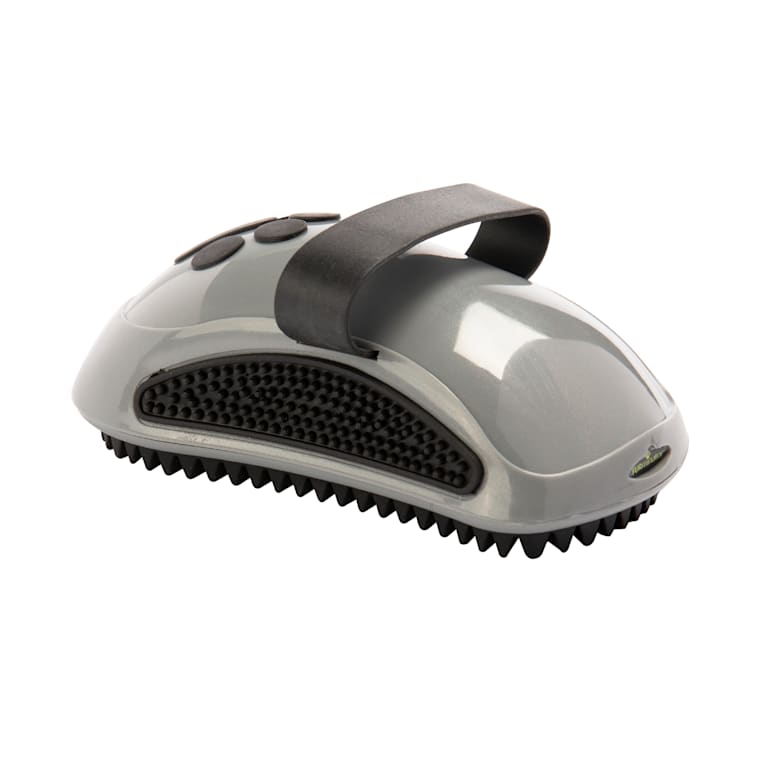 rubber curry brush petsmart