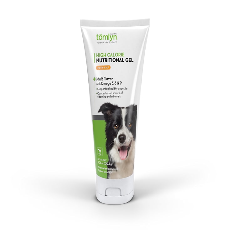 dyne supplement petsmart