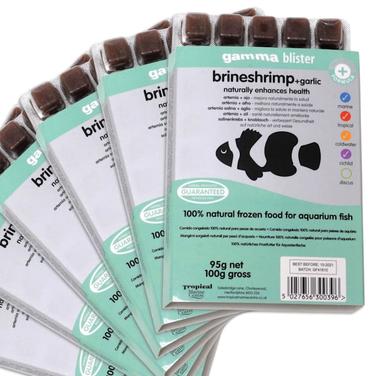 Petco Frozen Fish Food 2025