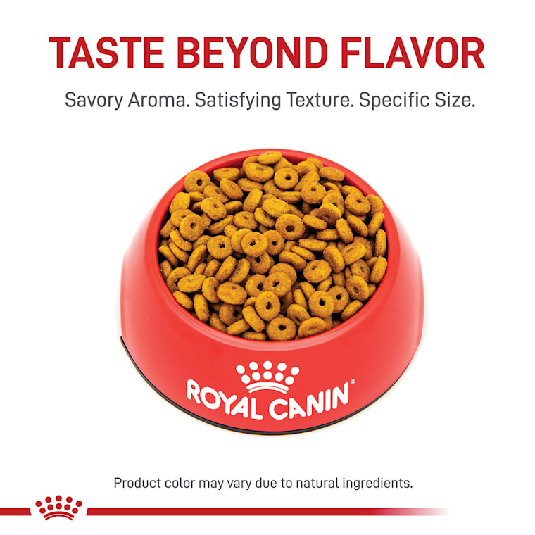 royal canin sterilized cat