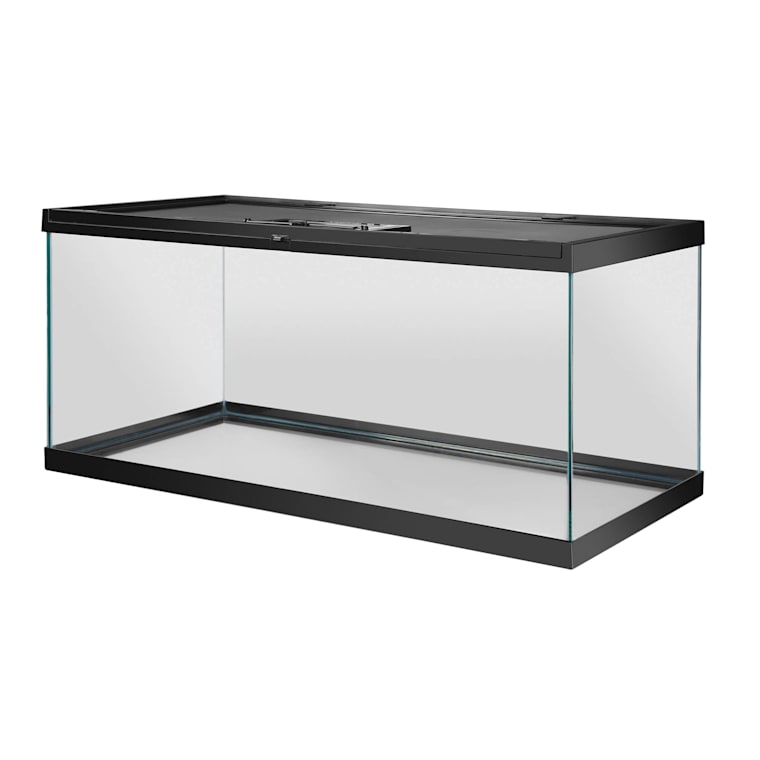 petco 40 gallon breeder tank