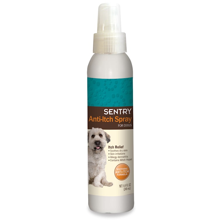 homemade dog anti itch spray