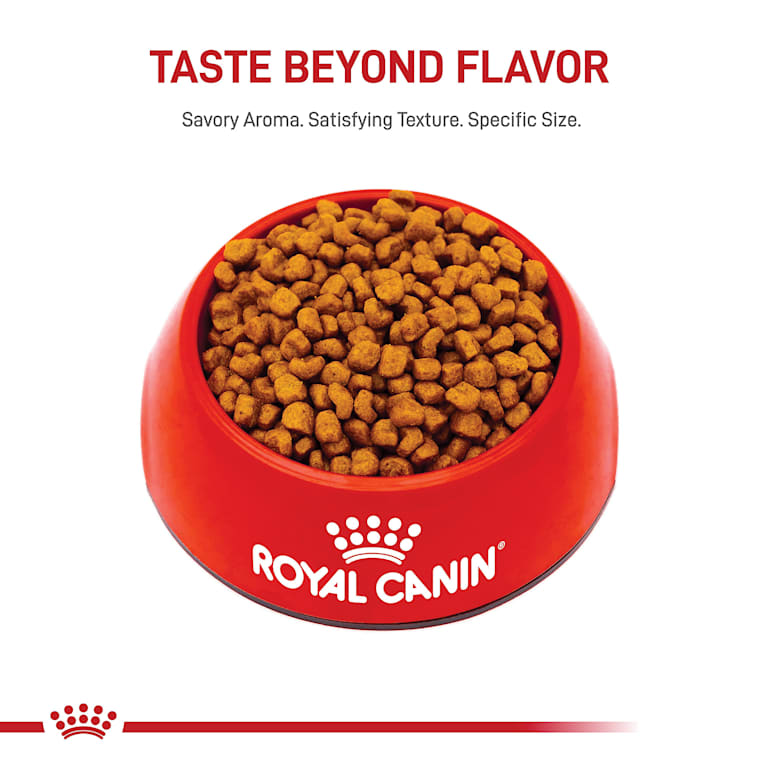 royal canin puppy food shih tzu