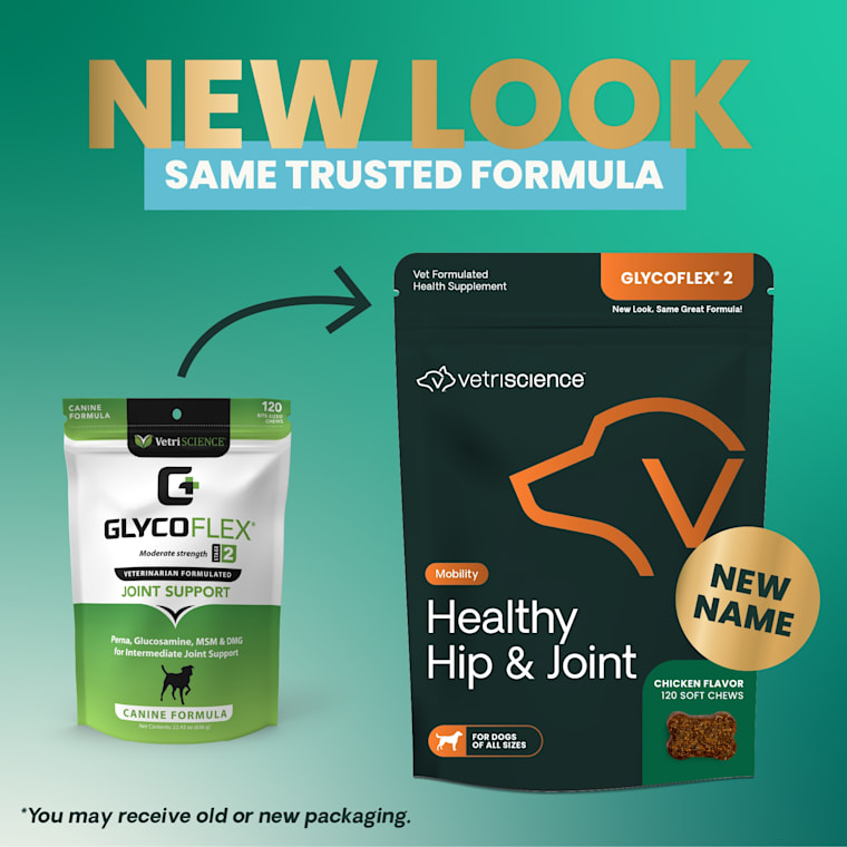 glycoflex 2 for dogs