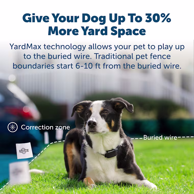 yardmax dog fence
