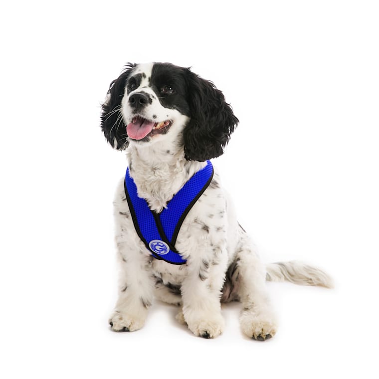 gooby choke free comfort x soft harness