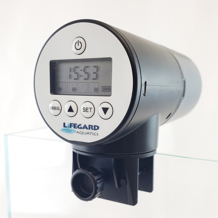 petco automatic feeder