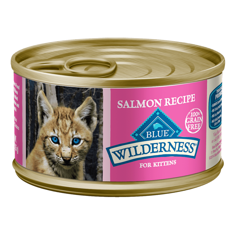 wilderness kitten food