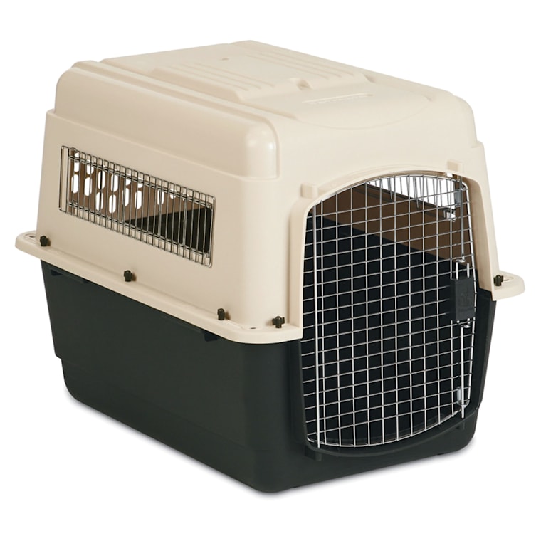 petmate 36 inch dog crate