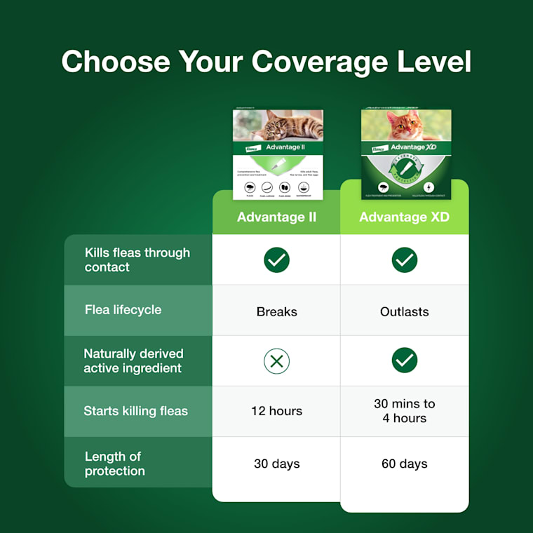 petco advantage large cat