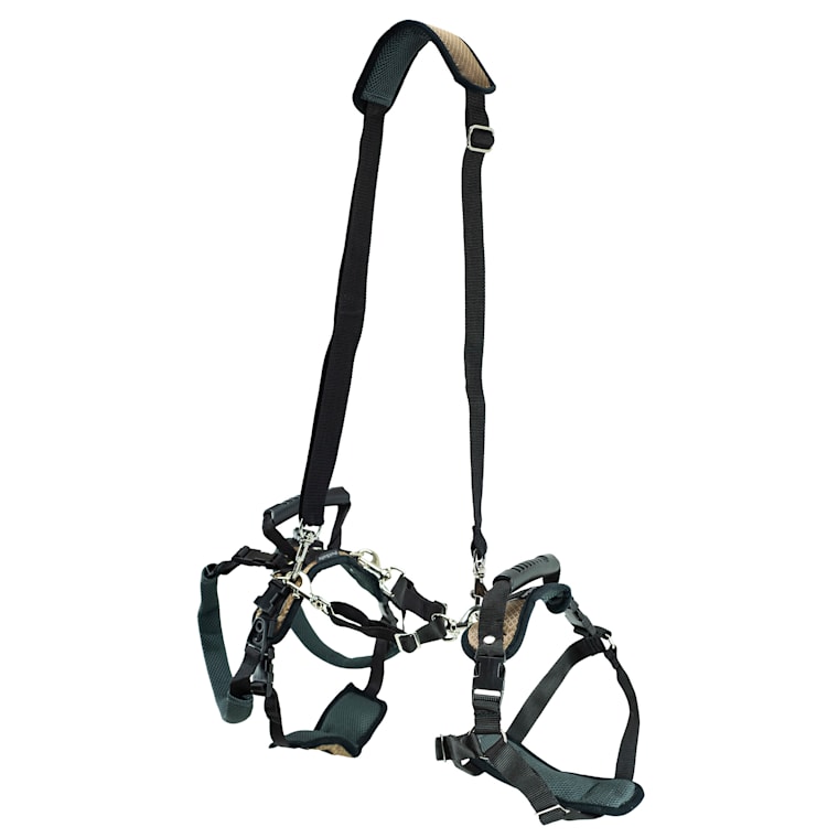 dog lift harness petco