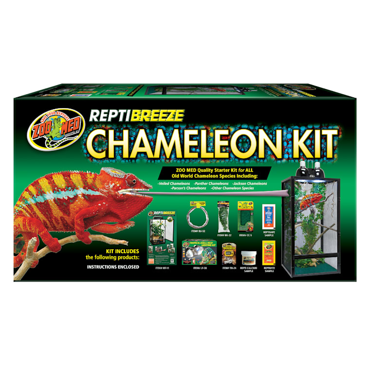 chameleons for sale petco