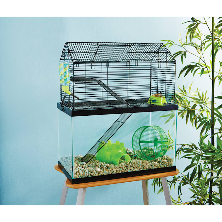 40 gallon hamster tank online