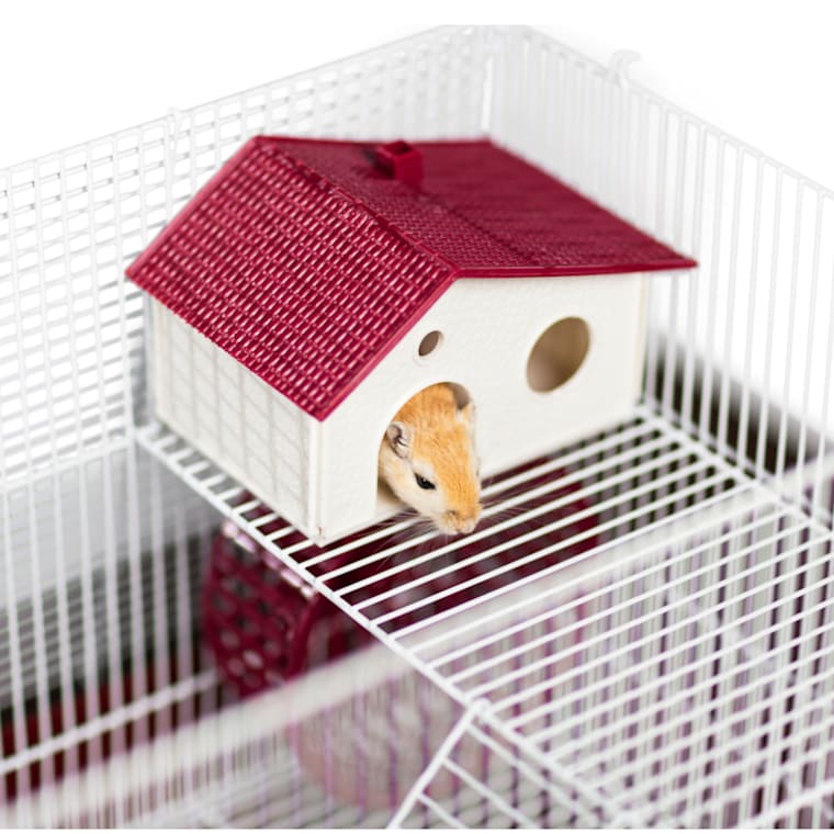 vital small pet cage 120