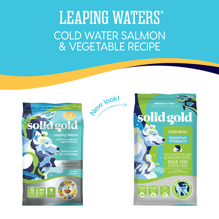 solid gold leaping waters review