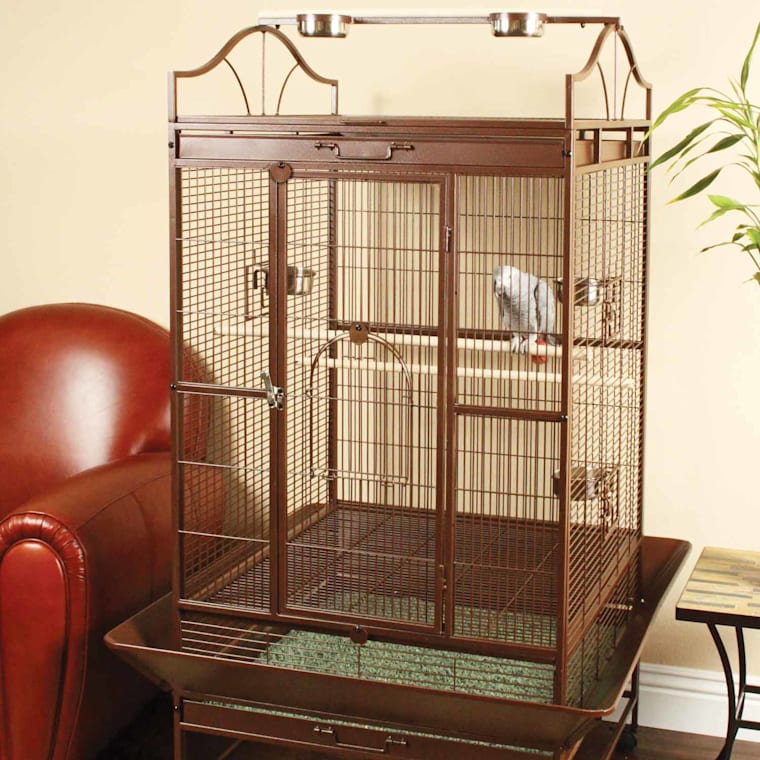 You \u0026 Me Standing Parrot Cage | Petco