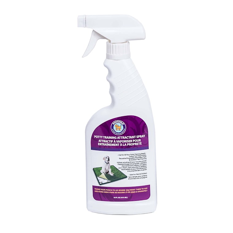 dog pee attractant