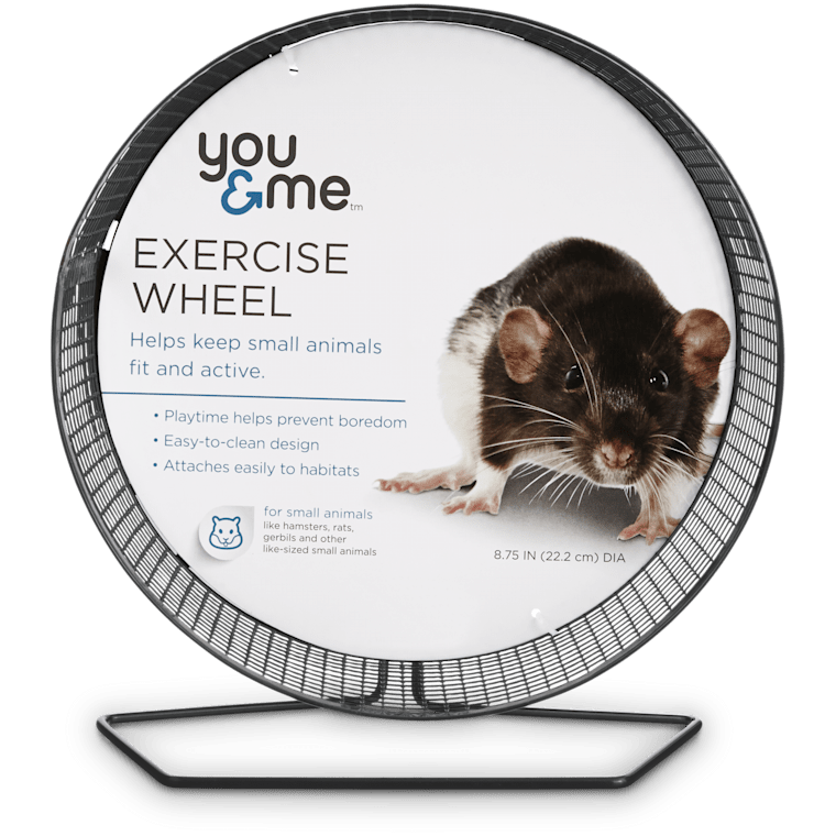 hamster exercise wheel
